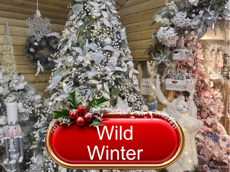 wild-winter-Christmas-Beechmount