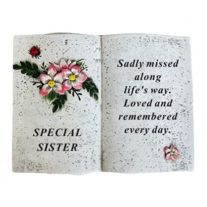 Book With Dragonfly And Flower Design SISTER