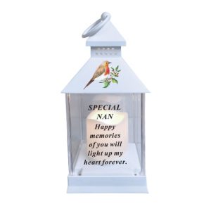 Grave Ornament B/0 Robin Lantern NAN